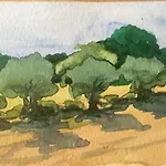 Forestale Luti בית כפרי