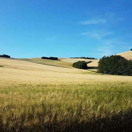 Forestale Luti Landhuis Treia