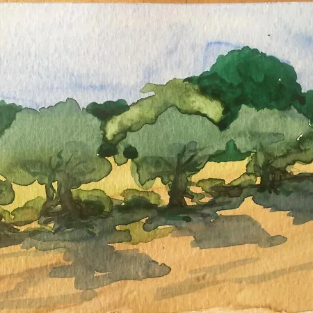 Forestale Luti Landhuis